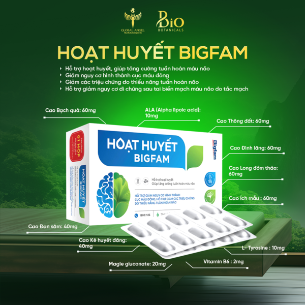 HOẠT HUYẾT BIGFAM 