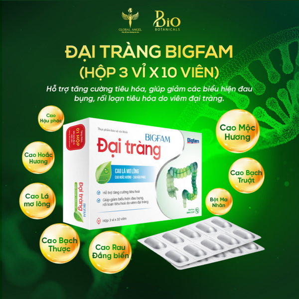 ĐẠI TRÀNG BIGFAM (Hộp 3 vỉ x 10 viên)